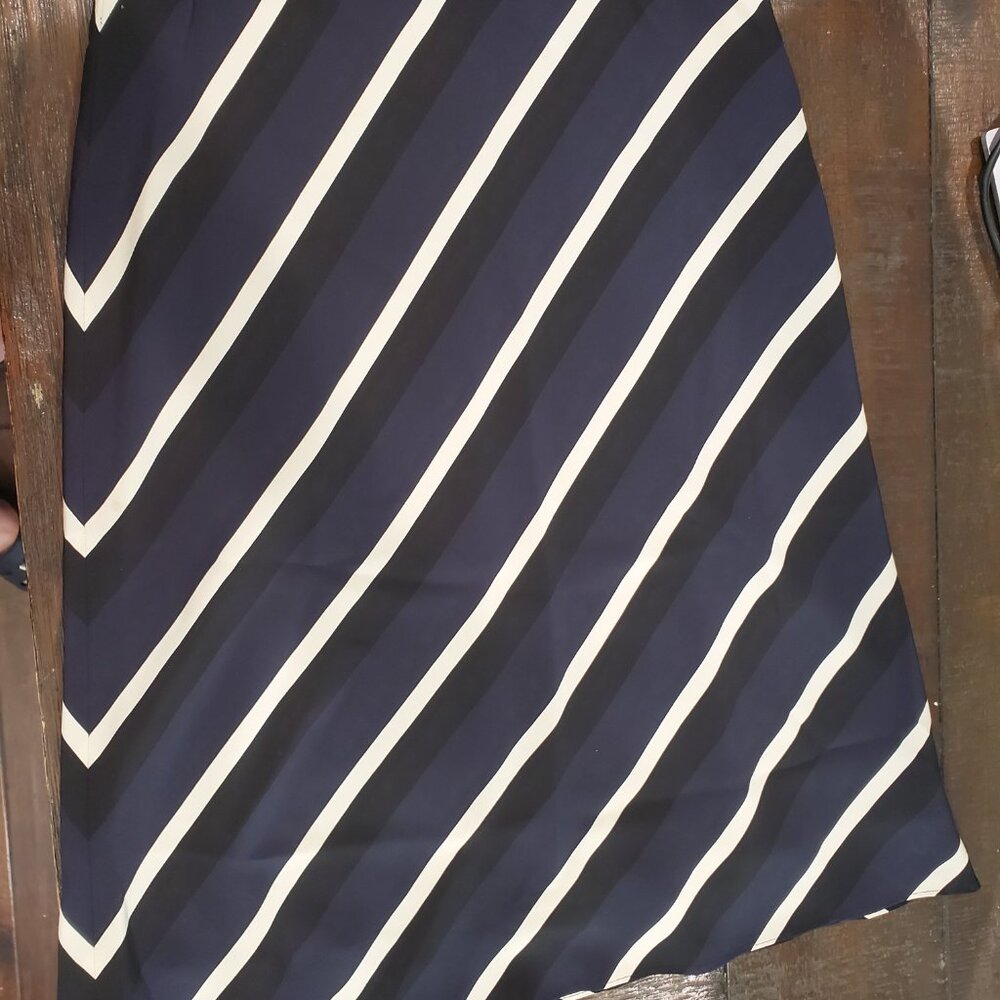 Banana Republic skirt